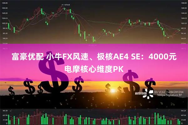 富豪优配 小牛FX风速、极核AE4 SE：4000元电摩核心维度PK