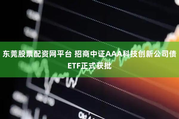 东莞股票配资网平台 招商中证AAA科技创新公司债ETF正式获批