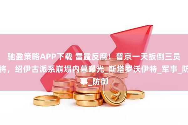 驰盈策略APP下载 雷霆反腐！普京一天扳倒三员大将，绍伊古派系崩塌内幕曝光_斯塔罗沃伊特_军事_防御