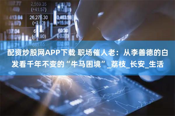 配资炒股网APP下载 职场催人老：从李善德的白发看千年不变的“牛马困境”_荔枝_长安_生活