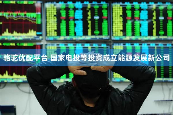 骆驼优配平台 国家电投等投资成立能源发展新公司