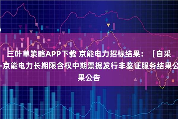 三叶草策略APP下载 京能电力招标结果：【自采】-京能电力长期限含权中期票据发行非鉴证服务结果公告